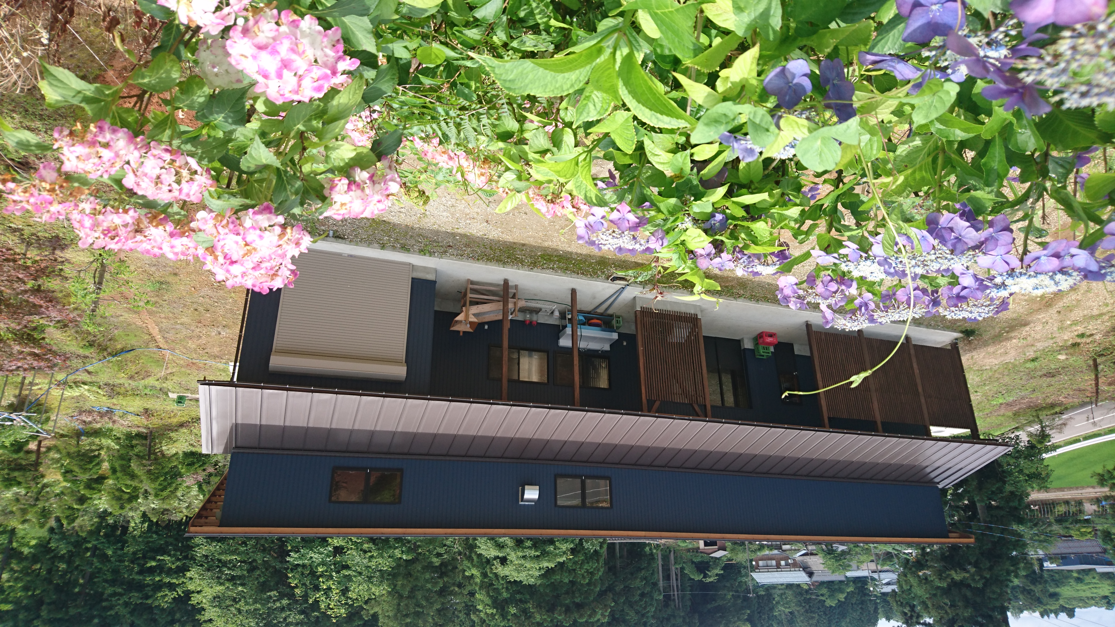 建物